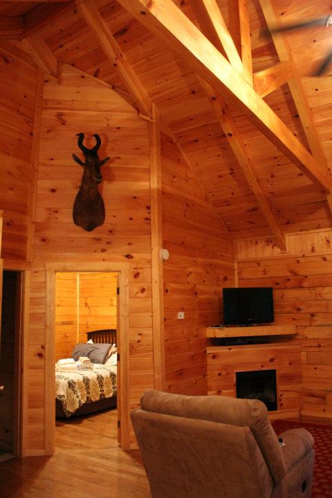 cabin2
