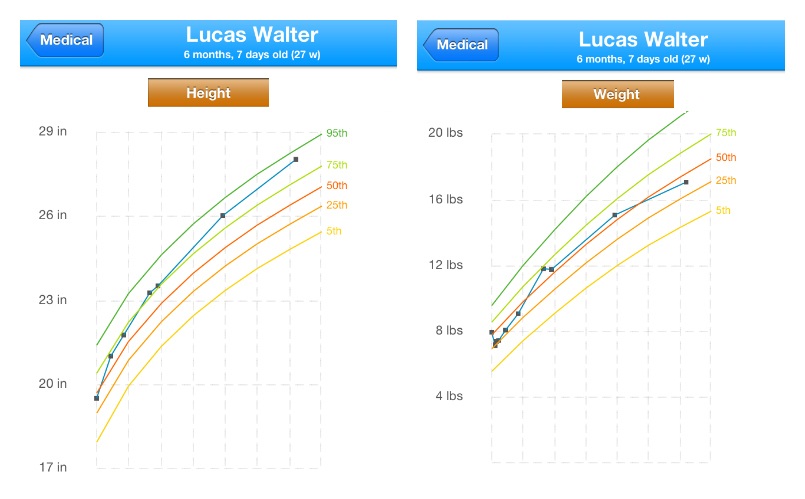 PicMonkey Collage 6 month stats