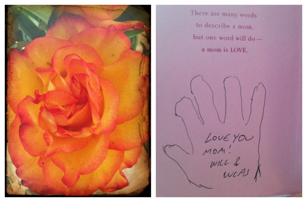 PicMonkey Collage May5