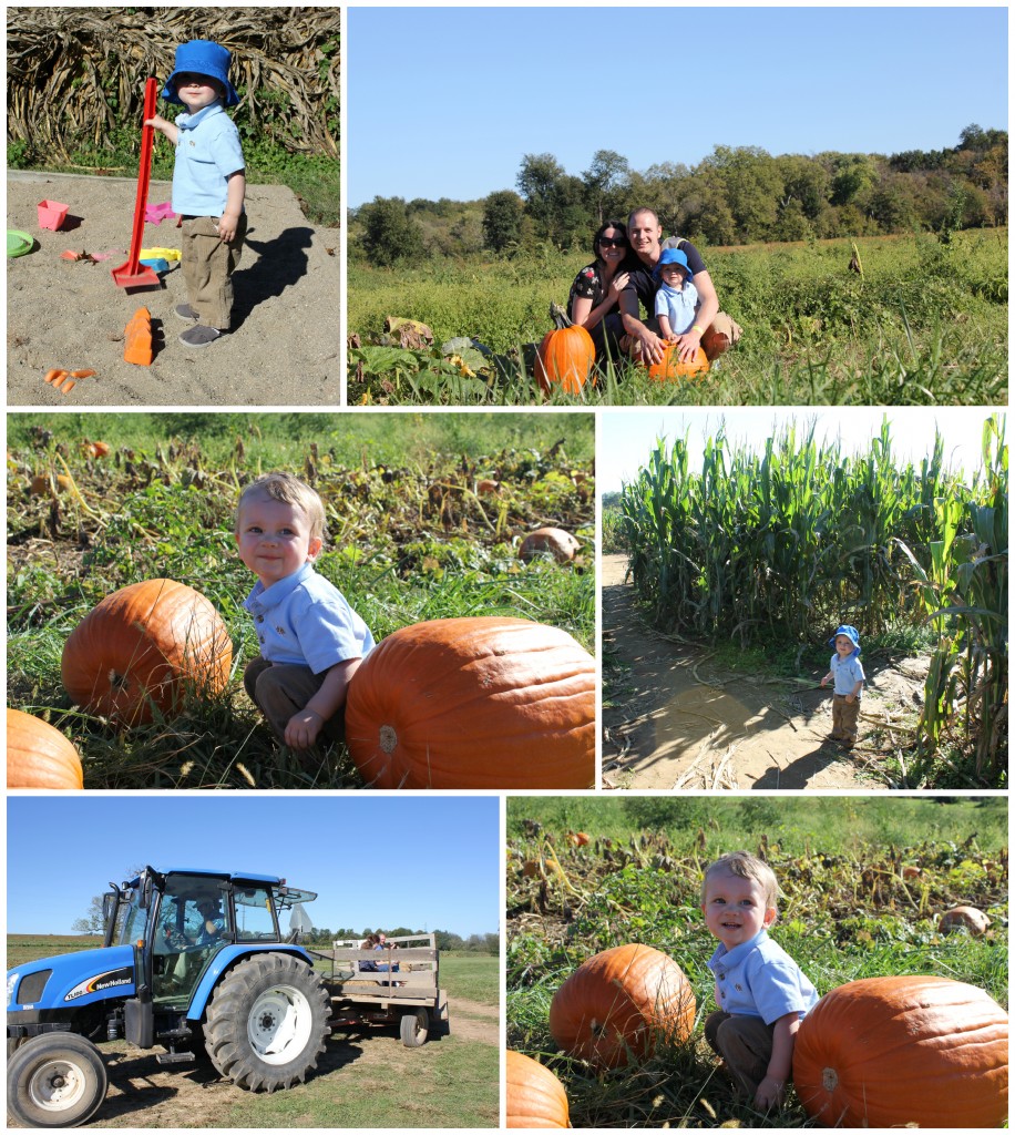 PicMonkey Collage Oct2