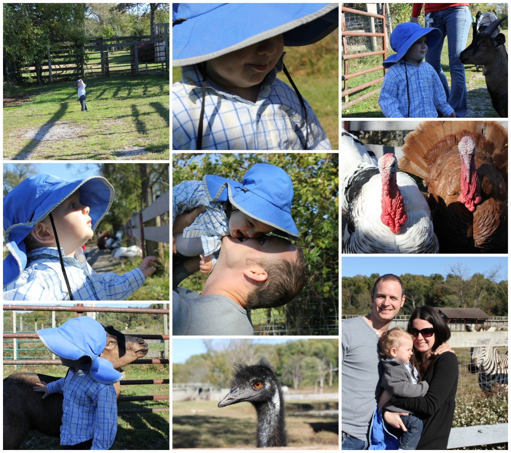 PicMonkey Collage Oct4